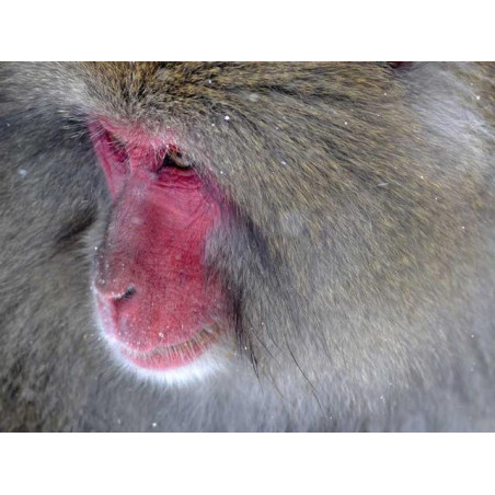 Practical Concrete Bench fr-FR